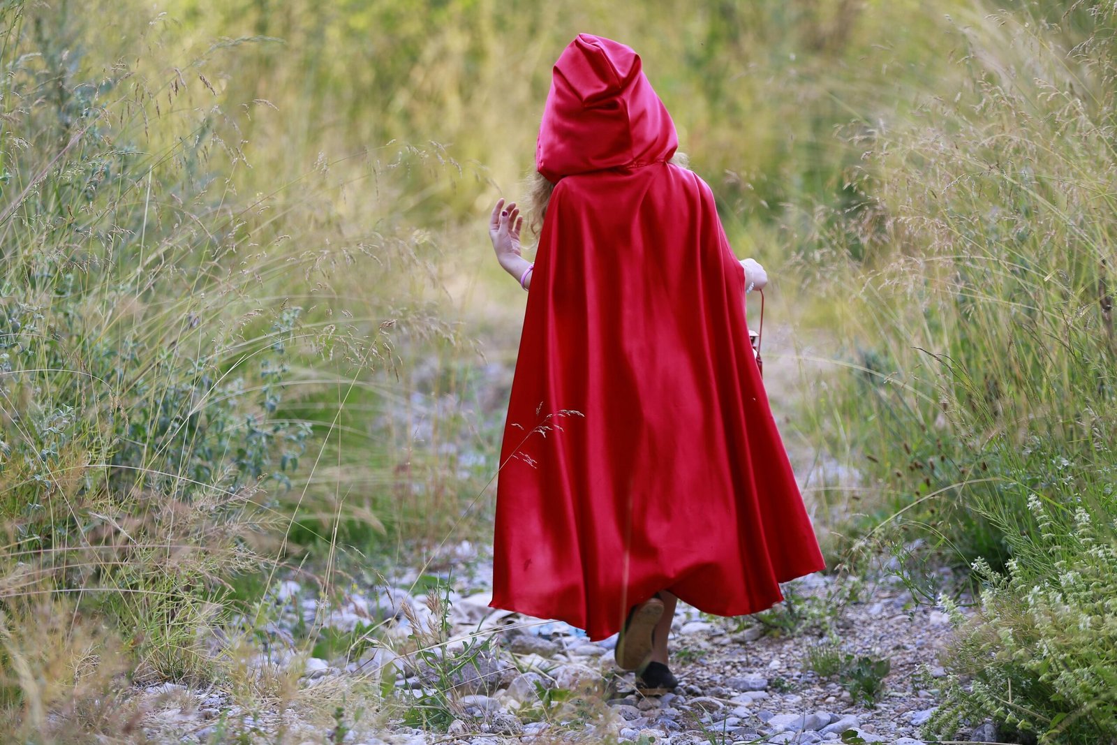 Red cloaked figure walking through meadow Photo by Ersin Aslan