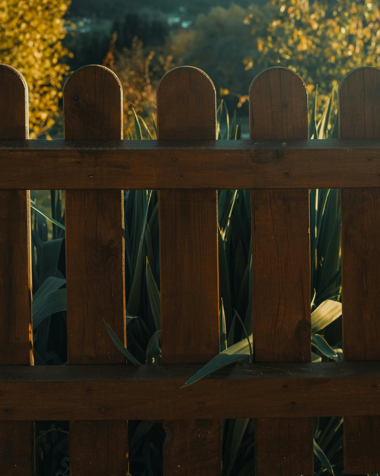Brown picket fence with tall green plants behind - Photo by Lucian Cornea (Pexels.com)